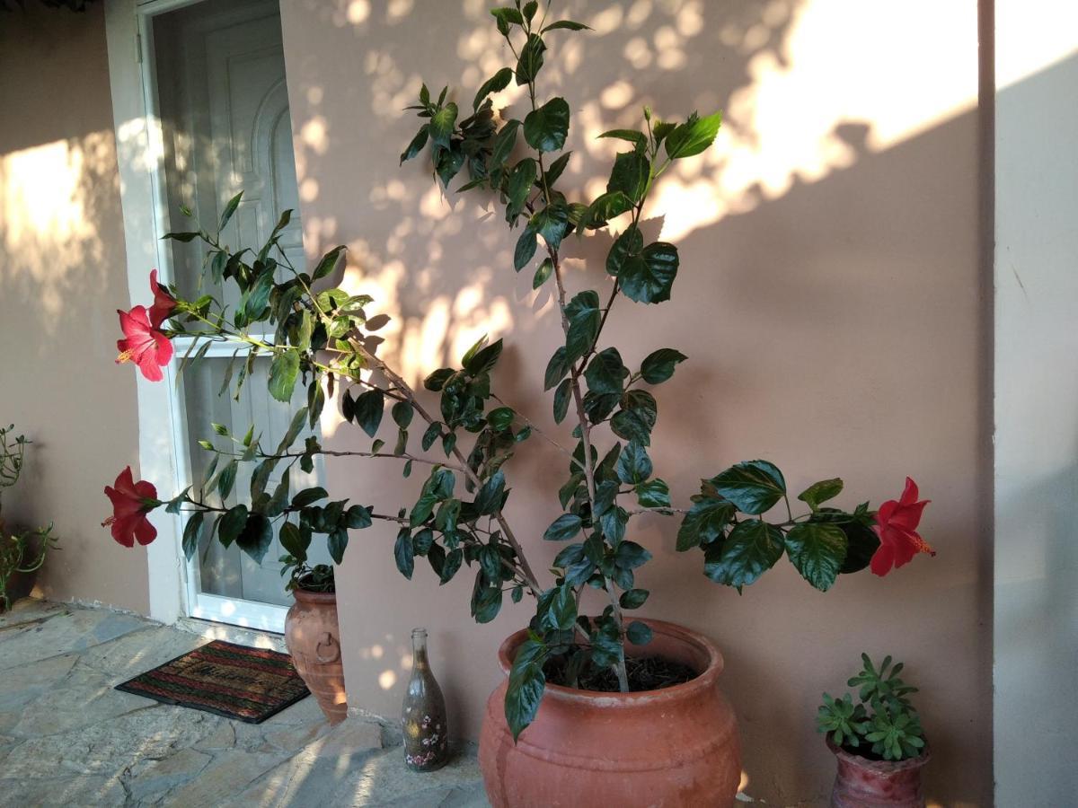 Apartamento Spiti Lou Notos Exterior foto